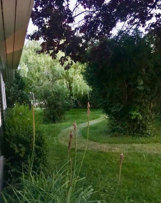 Spacey And Charming Cabin 300 M. From Beach Tjørneholm Exterior foto